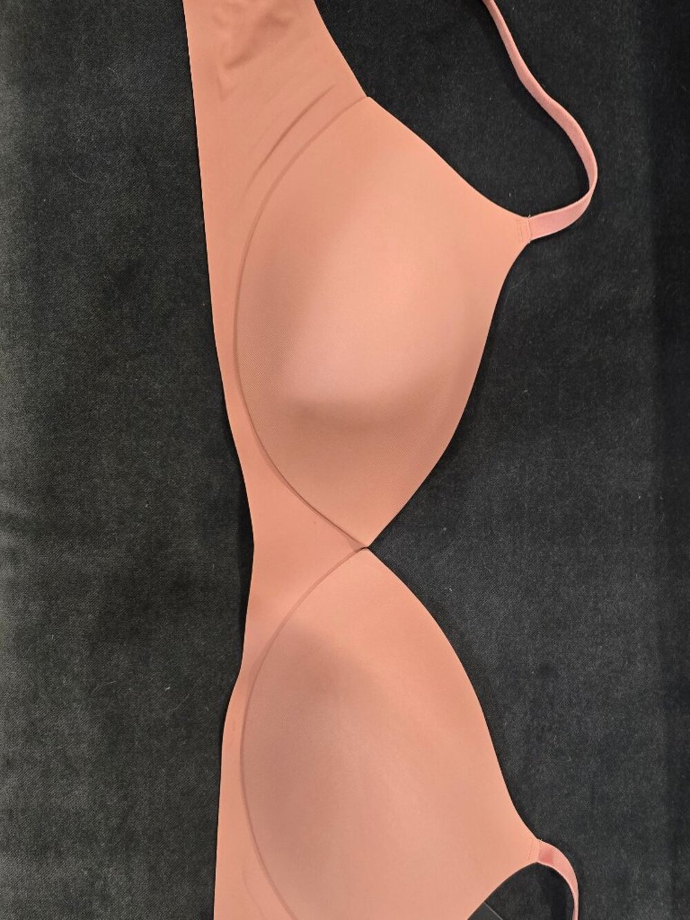 EBY T Shirt Bra